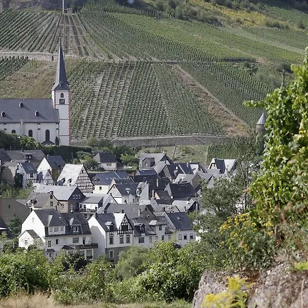 Weingut Paul Stoelben * Briedel