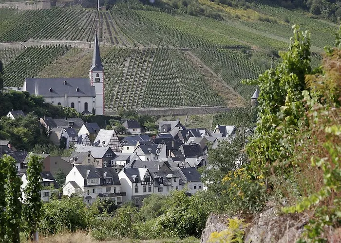 Weingut Paul Stoelben * Briedel