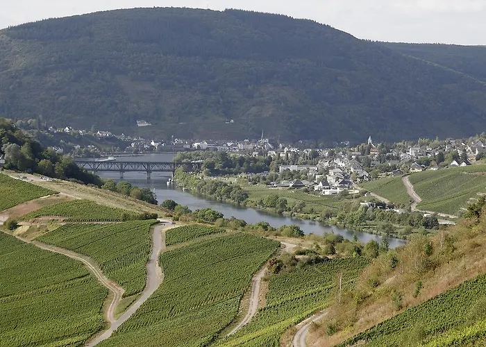 Weingut Paul Stoelben Appartement *
